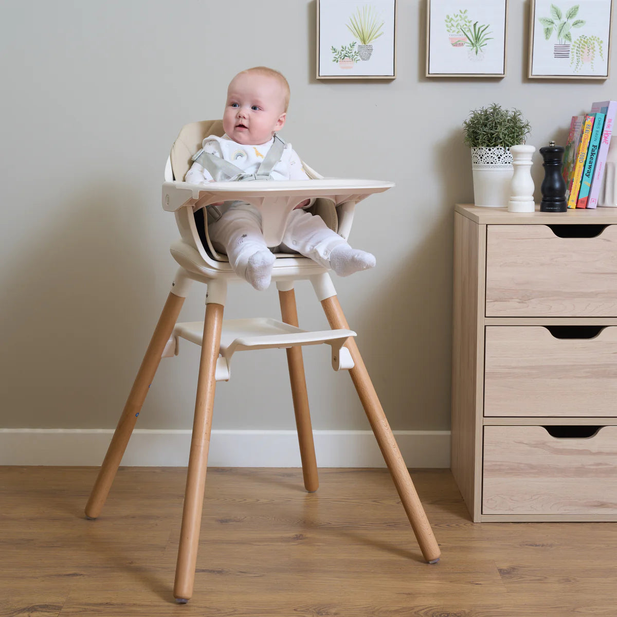 6in1 High Chair